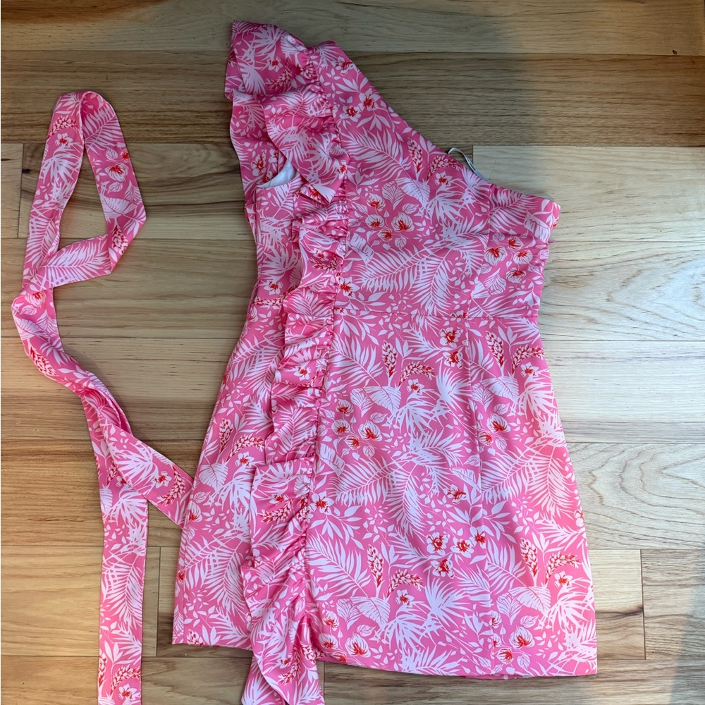 Pink Lovers + Friends mini dress